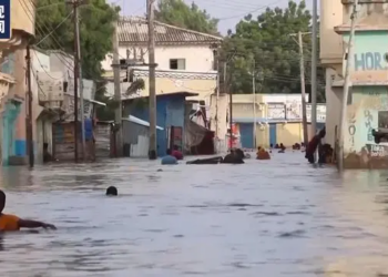 Har Kullum Sin Na Nacewa Manufar Tallafawa Abokan Tafiya Kasashe Masu Tasowa