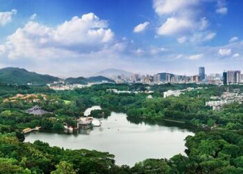 An Bayyana Rawar Da Kasar Sin Ta Taka Kan Sauyin Yanayi Yayin Taron COP28