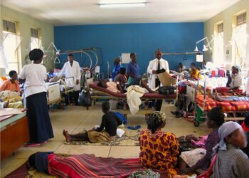 Bankwana Da 2023: A Farfado Da Bangaren Kiwon Lafiya