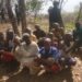 Sojoji Sun Kashe Mahara 14, Sun Ceto Wadanda Aka Yi Garkuwa Da Su A Kaduna Da Neja