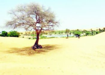 Yadda Tasirin Sauyin Yanayi Ke Shafar Yankuna A Jihar Yobe