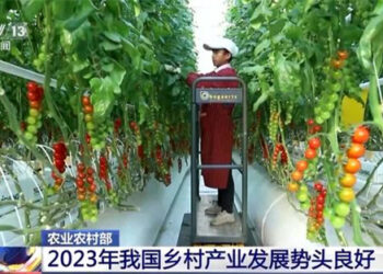 Masana’antun Kauyukan Sin Sun Samu Ci Gaba Yadda Ya Kamata A Shekarar 2023