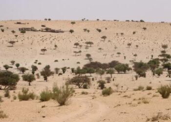Mun Tashi Tsaye Wajen Yakar Kwararowar Hamada – NEMA