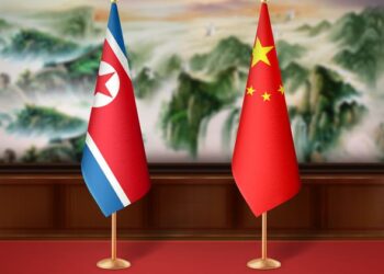 Xi Da Kim Sun Ayyana Shekarar 2024 A Matsayin Shekarar Abokantaka Tsakanin Sin Da Koriya Ta Arewa