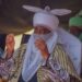 Sin Mai Martaba Sarkin Kano, Alhaji Aminu Ado Bayero