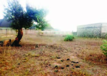 Yadda Mayar Da Gonaki Fulotai Ke Tsananta Karancin Abinci