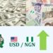 Kaya Za Su Kara Tsada Kan Daidaita Farashin Canjin Dala Da CBN Ya Yi Zuwa ₦1,356.883 Kan $1