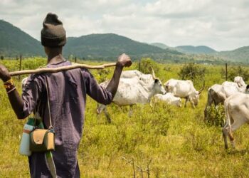 Lokaci Ya Yi Da Za A Kawo Karshen Musguna Wa Fulani – Dakta Awwal 