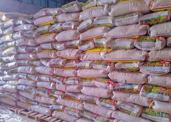 NCRMIDP Ta Raba Wa ‘Yan Gudun Hijira 700 Kayan Abinci A Katsina