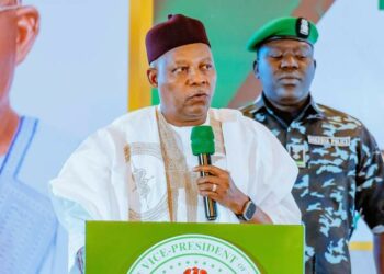 Ku Yi Haƙuri Da Gwamnatin Tinubu – Shettima