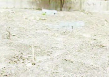 Bullar Sabuwar Annoba Ta Firgita Al’ummar Nafada A Jihar Gombe