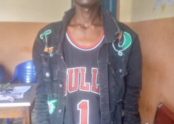 ‘Yansanda Sun Kama Kasurgumin Dan Bindiga A Kaduna