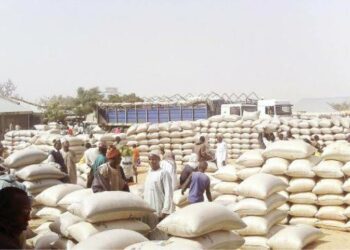 Gwamnatin Tarayya Ta Baiwa Gwamnatin Kano Tallafin Tireloli Na Shinkafa 100 Da Dawa 44