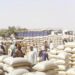 Gwamnatin Tarayya Ta Baiwa Gwamnatin Kano Tallafin Tireloli Na Shinkafa 100 Da Dawa 44