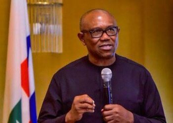 Ba Na Neman Zama Shugaban Kasa Ko Ta Halin Kaka – Peter Obi