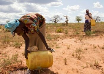 Daminar Bana: Manoma Su Guji Shuka Da Wuri, Su Rungumi Inshora – Masu Ruwa Da Tsaki
