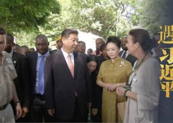 Roxy Danckwerts: Ina Matukar Son Rungumar Pandar Kasar Sin