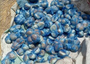 Sojoji Sun Lalata Masana’antar Sarrafa Burodin ‘Yan Ta’adda A Borno