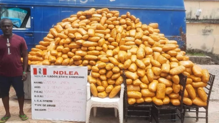 NDLEA
