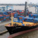 Qingming lekki