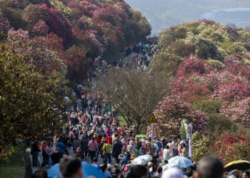 Hutun Bikin Qingming Na Kasar Sin Ya Nuna Kuzarin Tattalin Arziki