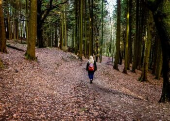 An Gano Dajin Da Ya Fi Shekara Miliyan Hudu A Duniya
