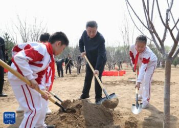 Shugaba Xi Ya Yi Kira Da A Dasa Karin Itatuwa Domin Samar Da Sin Mai Kyan Gani