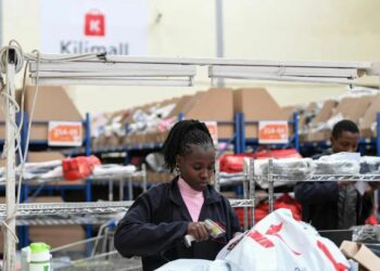 Hadin Gwiwar Sin Da Afirka A Fannin Tattalin Arzikin Dijital Ta Haifar Da Dimbin Sakamako