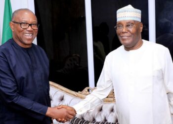 Nakasa Zan Goyi Bayan Peter Obi A 2027 Matsawar PDP Ta Sahale Masa Yin Takara – Atiku