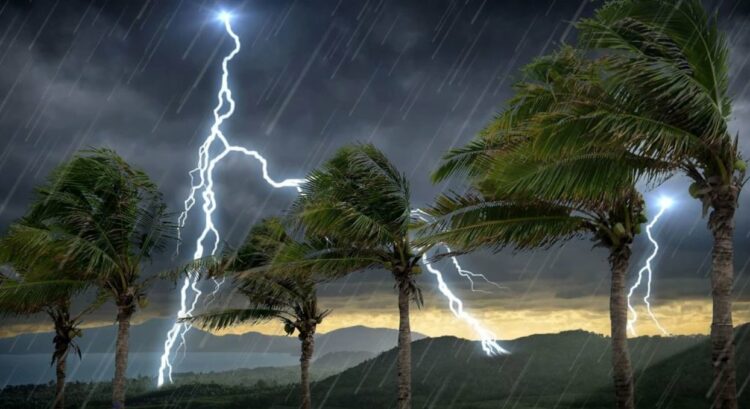 NiMet