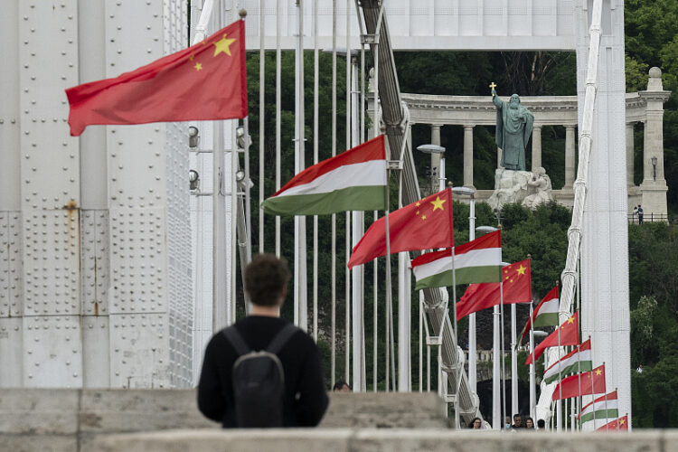 A man stands under Chinese and Hungarian national flags placed on the Elisabeth Bridge in Budapest, Hungary, Wednesday, May 8, 2024. (AP Photo/Denes Erdos)