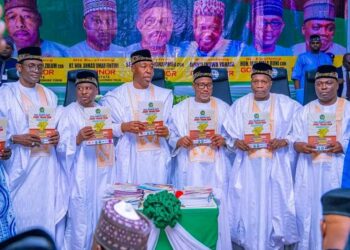 Taron Gwamnonin Arewa Maso Gabas Karo Na 10, Me Ya Kamata Ku Sani?