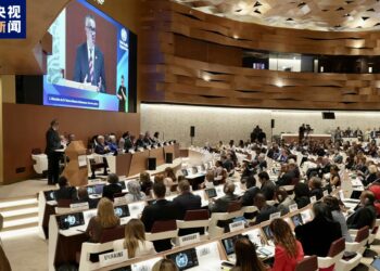 Yunkurin Sarrafa Batun Yankin Taiwan A WHA Zai Ci Tura