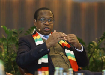 Ministan Kudin Zimbabwe Ya Jinjinawa Gudummawar Masu Zuba Jari Daga Sin