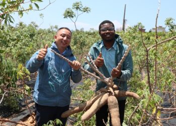 Taimakon Afrika? A Dauki Hakikanin Mataki