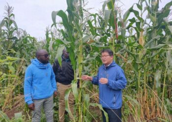 Hadin Gwiwar Sin Da Afirka A Fannin Kimiyya Da Fasaha Zai Taimakawa Afirka Wajen Samun Ci Gaba