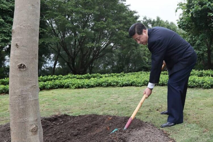 Xi Jinping