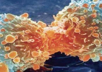 Alamomi 20 Na Ciwon Kansa Da Suka Kamata A Sani