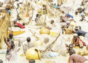 Masarautar Argungu Da Al’adunta (3)  Bikin Kamun Kifi