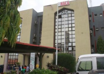 Mutane 75,000 Sun Kamu Da HIV, 45,000 Sun Rasu A Shekarar 2023 – NACA DG