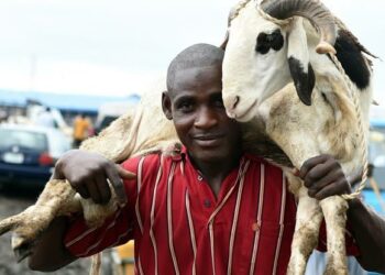 Tsadar Rayuwa A Babbar Sallah: Yadda Magidanta Ke Sama Wa Kansu Mafita