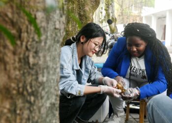 Ba Samar Da Damar Samun Ci Gaba Kawai Ke Sa Kasar Sin Samun Karbuwa Ba