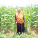 Kannywood noma