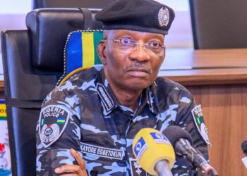 Ba Zamu Lamunci Zanga-Zangar Tashin Hankali Ba – IGP 