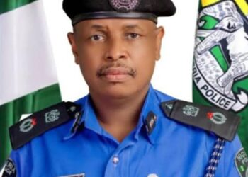 Boko Haram Na Shirin Kutsawa Cikin Masu Zanga-zanga A Yobe – ‘Yansanda