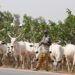 Ƴan Ta'adda Dalilin Raguwar Rikicin Manoma Da Makiyaya A Jihar Gombe