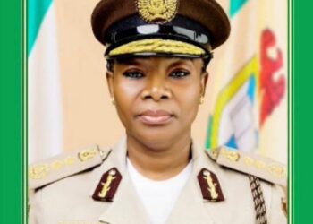 NIS Ta Ƙaddamar da Sabon Tsarin Tsaurara Tsaro A Iyakokin Arewa Maso Gabas