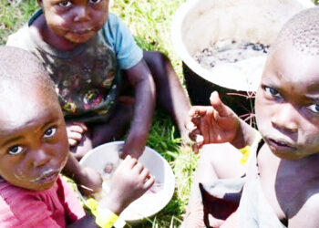 Yadda Mutane Ke Tona Ramin Tururuwa Don Neman Abinci A Borno