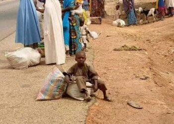 Bayan Fafatawa, Ƴan Ƙauye Sun Hallaka Ƴan Bindiga 37 A Zamfara