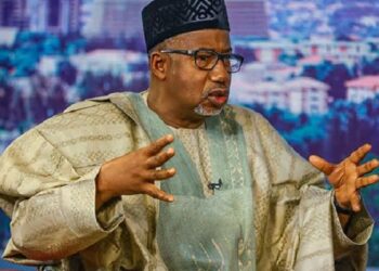 Ba Don Tonon Gwal Na Ke Gina Gadoji Ba – Gwamnan Bauchi